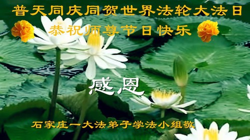 Image for article I praticanti della Falun Dafa della città di Shijiazhuang celebrano la Giornata mondiale della Falun Dafa e augurano rispettosamente un buon compleanno al Maestro Li Hongzhi (21 auguri) 