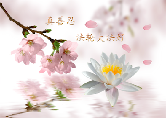 Image for article Former Government Official in China: “The Kindness of Practitioners Is Like a Warm Spring Breeze”