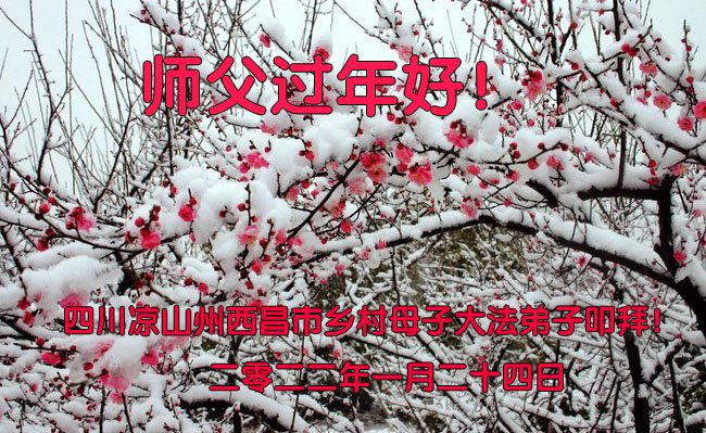 Image for article Falun Dafa Practitioners in the Countryside Wish Master Li a Happy Chinese New Year (24 Greetings)