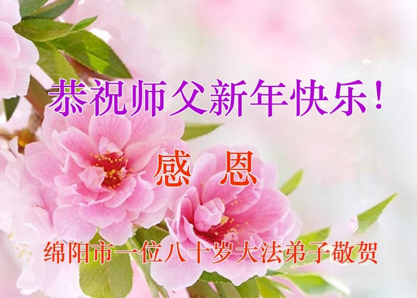 Image for article Sowing Hope: Falun Dafa Practitioners in China Wish Master Li a Happy Chinese New Year