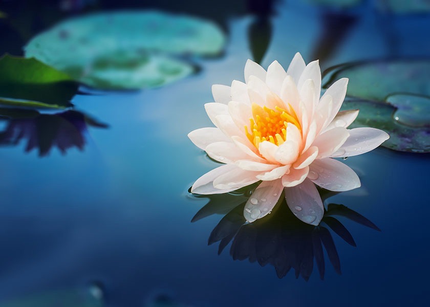 Image for article Falun Dafa Gave Me a New Lease On Life