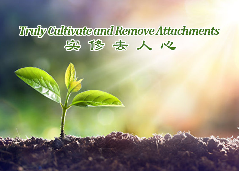 Image for article Revisiting Our Understanding of Cultivation and Letting Go of Fundamental Attachments