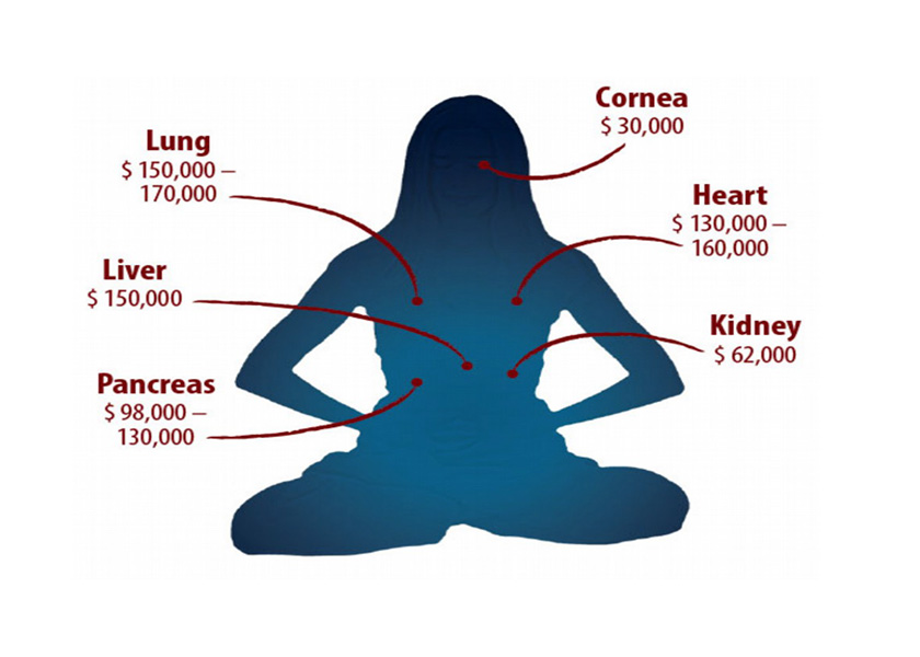 Image for article Minghui Report: Falun Gong Practitioners Systematically Murdered in China for Their Organs