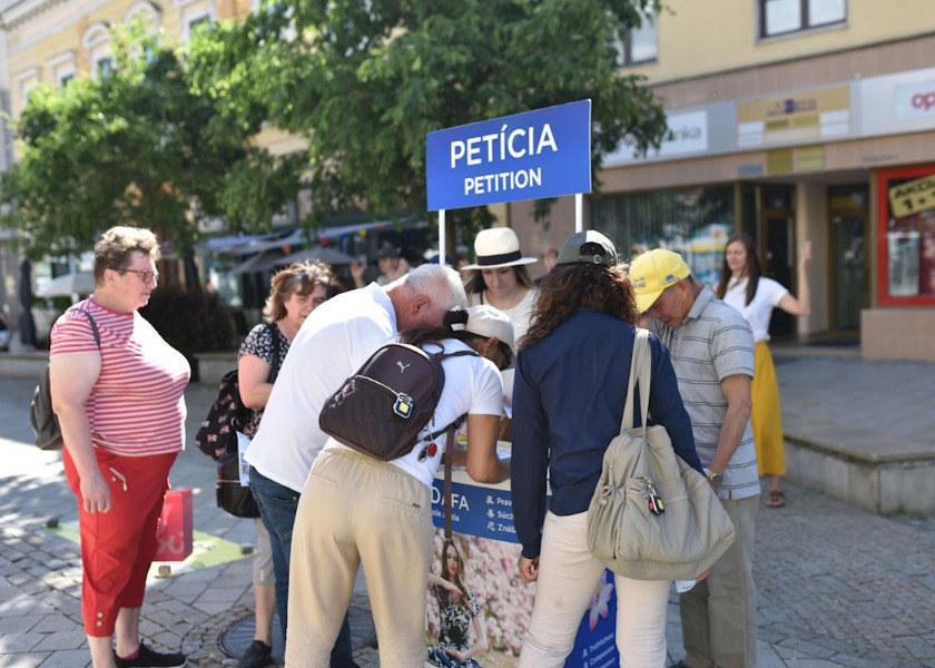 Image for article Slovakia: 